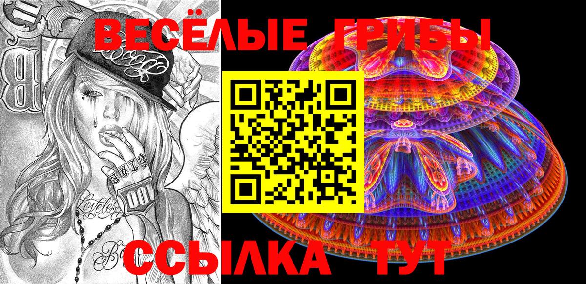 Псилоцибиновые грибы мицелий  Вход с VPN  Кстово 